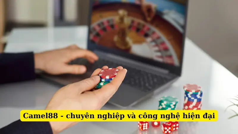 Camel88 - chuyên nghiệp và công nghệ hiện đại