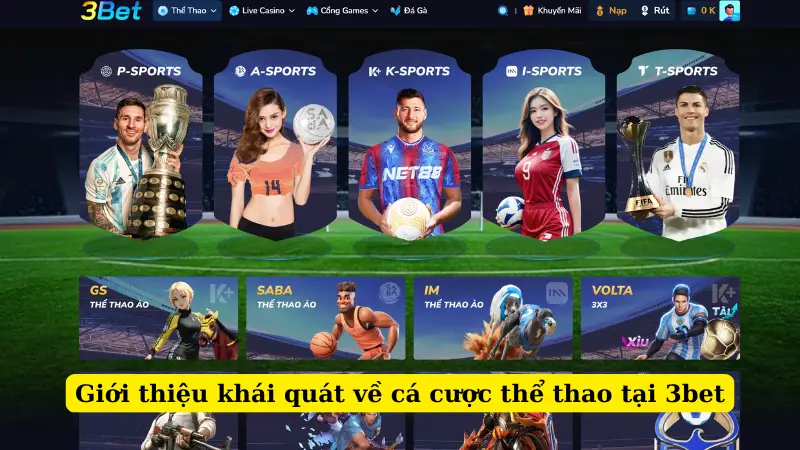 Giới thiệu khái quát về cá cược thể thao tại 3bet